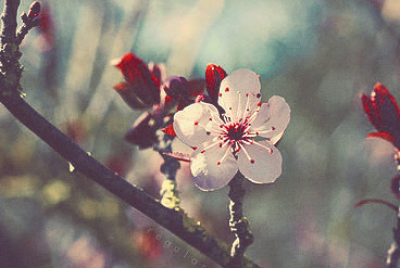 ip攻击器网页版